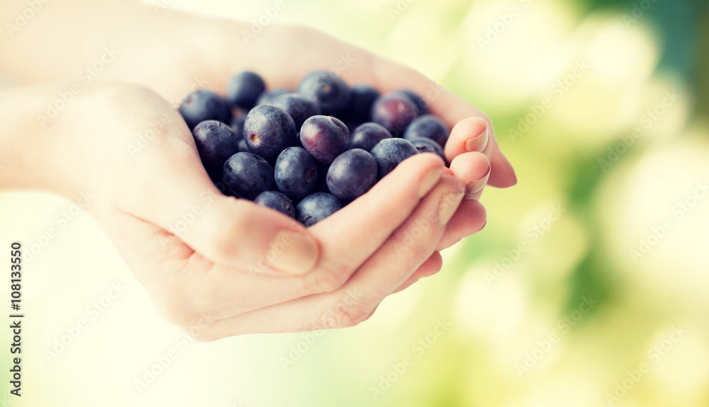 close up of woman hands holding blueberries close up of woman hands holding blueberries