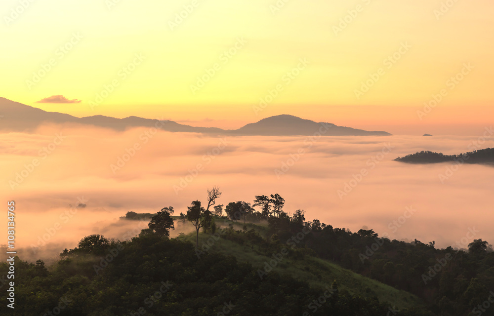 scenery of misty morning on the top of the hill during sunrise at yun lai viewpoint, pai, thailand.