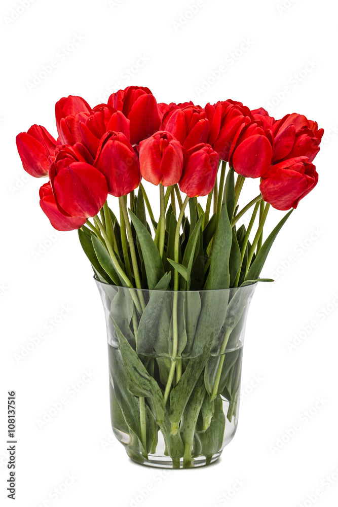 Bouquet of red flowers tulips in vase, isolated on white backgro Bouquet of red flowers tulips in vase, isolated on white backgro