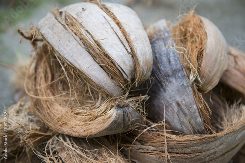 Pile of coir husks on the ground