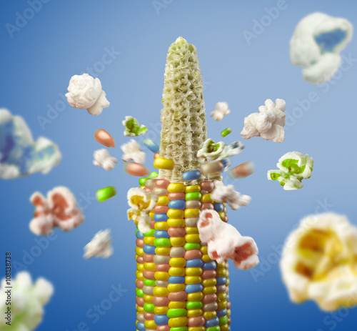 color corncob explodes and produces popcorn healthy vegetarian food. on the white background