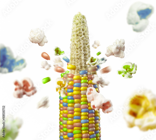 color corncob explodes and produces popcorn healthy vegetarian food. on the white background