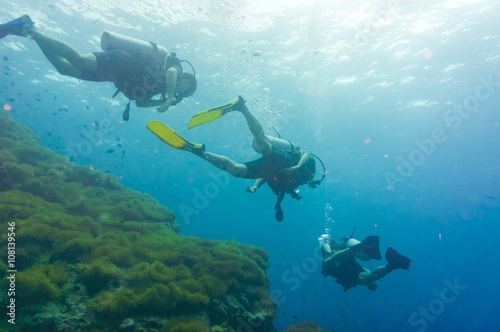 People recreation with scuba diving swimming