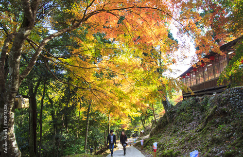 Kyoto, JAPAN - Nov 16, 2013: A pavilion at Jingo-ji, Japan. Jing © nicholashan