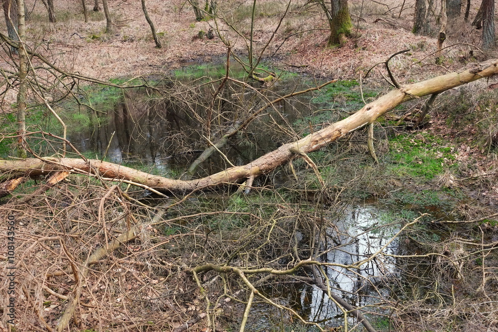 Belgien Kempenland 3