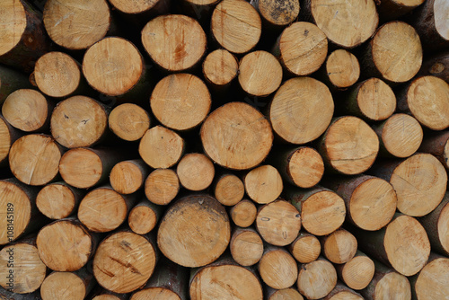 Holz, Kiefernholz, Baumstämme, Baum, Holzstapel, Brennholz, Nachhaltigkeit, Forstwirtschaft, Holzwirtschaft, Niedersachsen