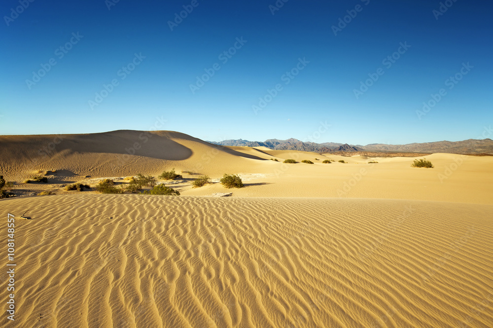 panoramic view of mesquite flat sand dunes