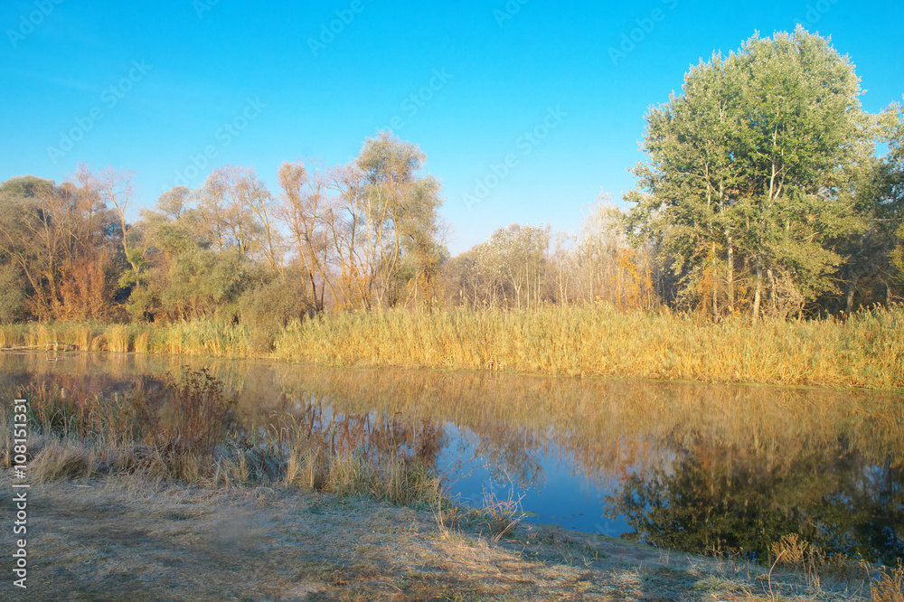 autumn landscape with yellow tree on coast of the river