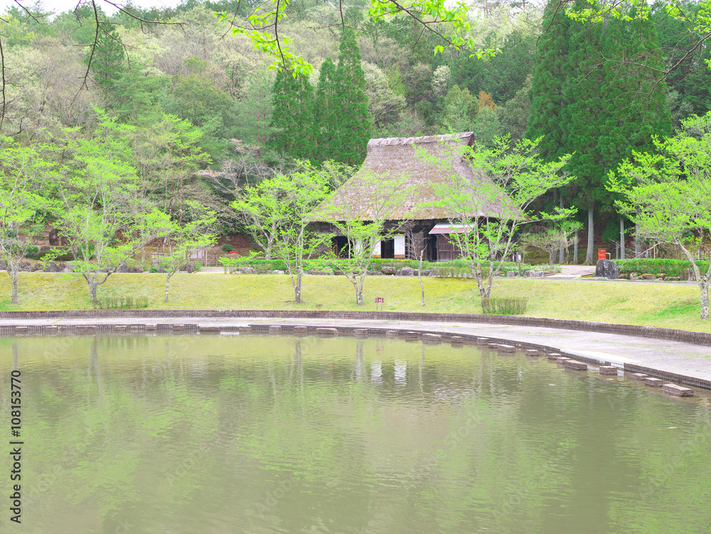 Obraz premium 日本の農村