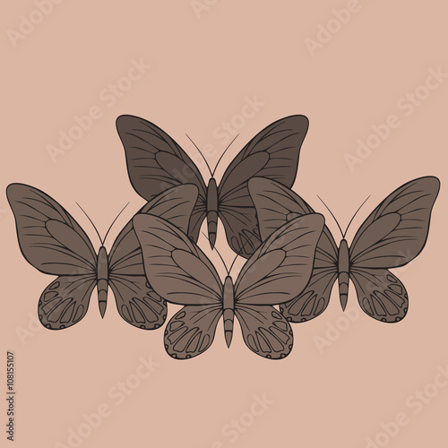 Big realistic collection of colorful butterflies.  Summer flying insects set for greeting cards and  scrapbook.