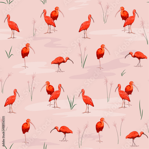 Scarlet ibises seamless texture