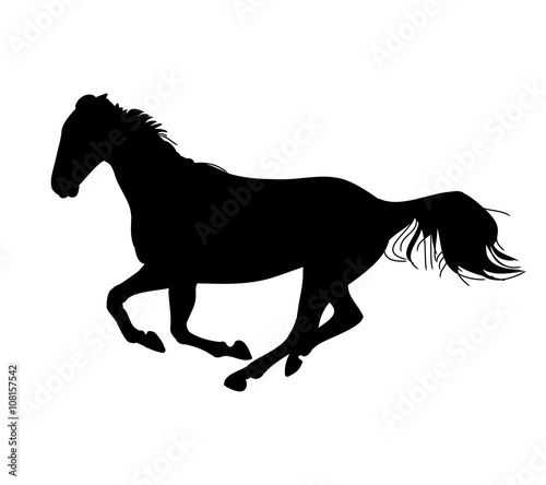 The gallop of the horse 0  silhouette 