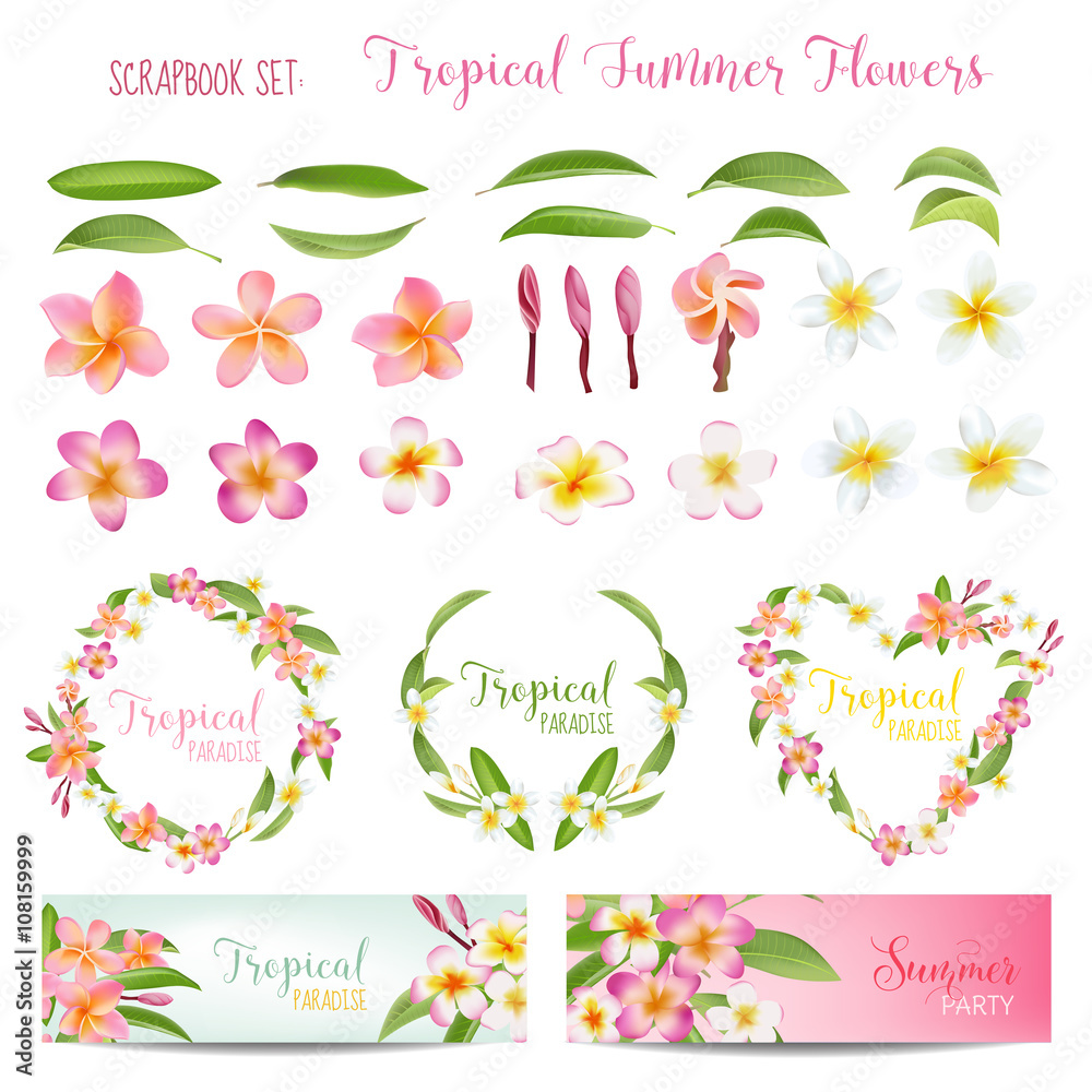 Tropical Flowers and Leaves Set. Exotic Plumeria Flower. Floral Decoration - obrazy, fototapety, plakaty 