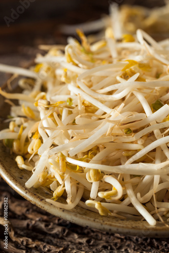 Raw Healthy White Bean Sprouts