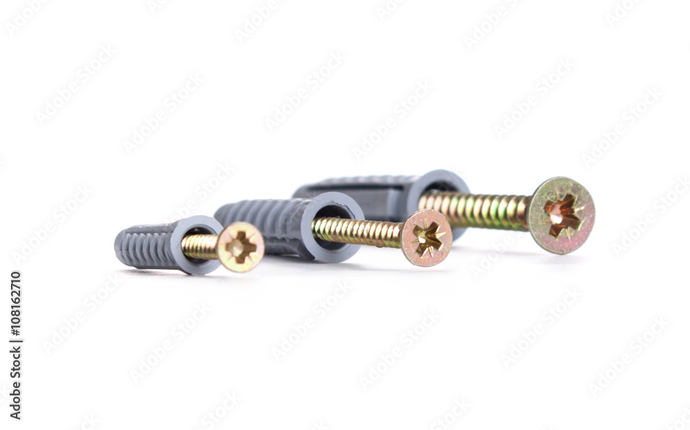 screws and dowels on a white background screws and dowels on a white background