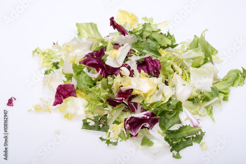  Green and red leaf of lettuce . Isolated on a white background