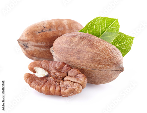 Pecan with leaves