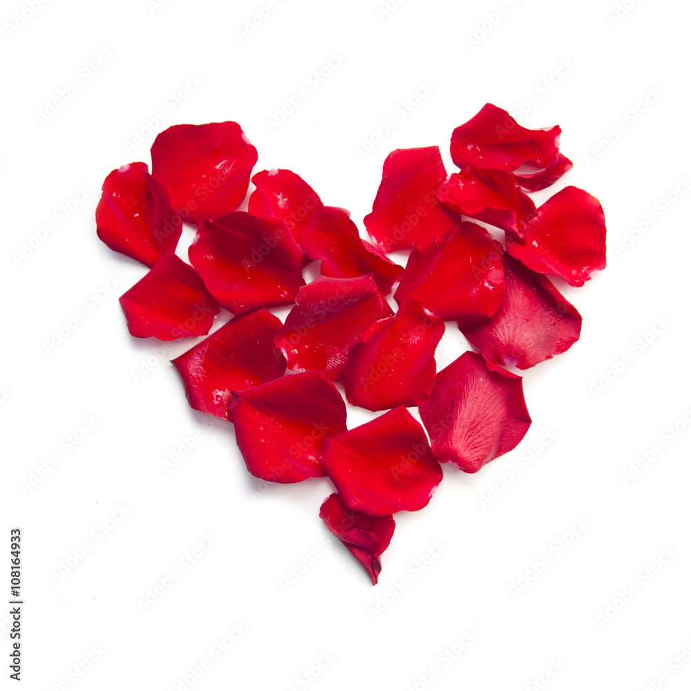 red rose petals heart on white background