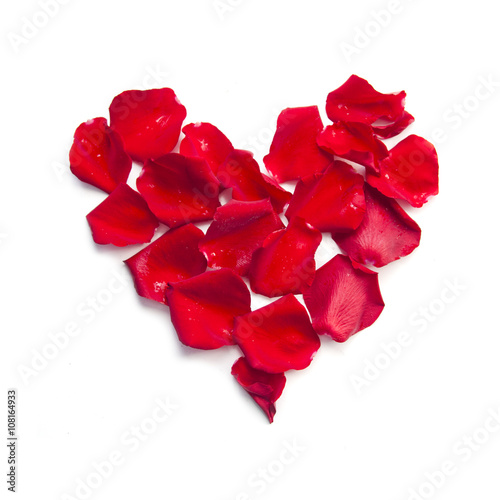 red rose petals heart on white background