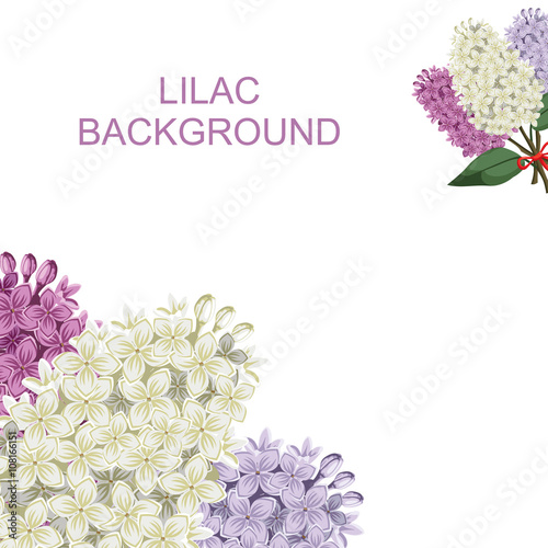 Lilac flowers bouquets background