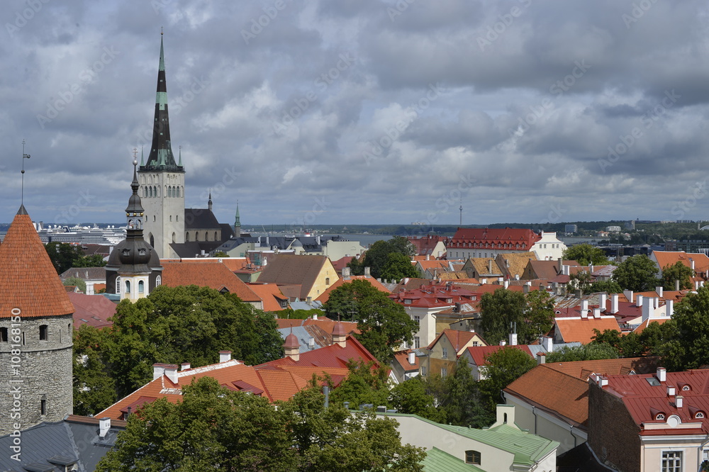 Old stoned streets, houses and red roofs of old Tallinn in the summer day.