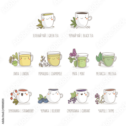 Cute vector set of tea and herbs. Handmade vector illustration