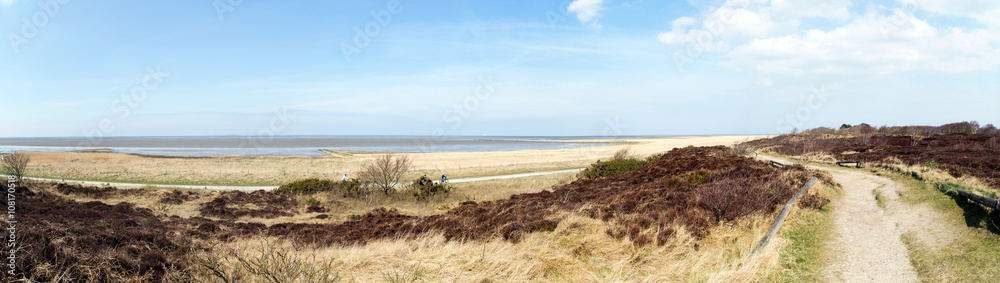 Cuxhavener Küstenheide im Frühling, Panorama