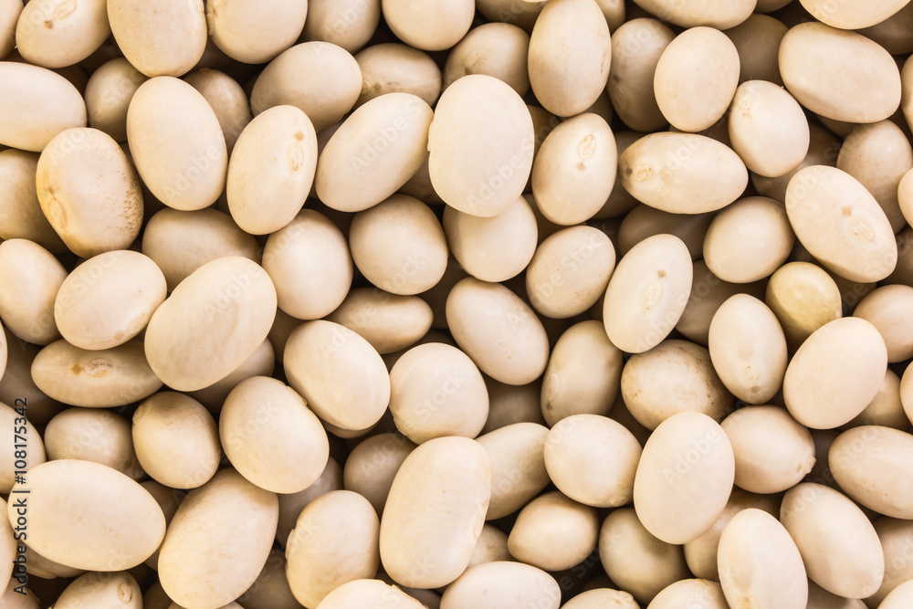 white beans macro texture background