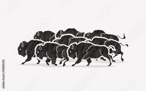 Group of buffalo running designed using black grunge brush graphic vector
