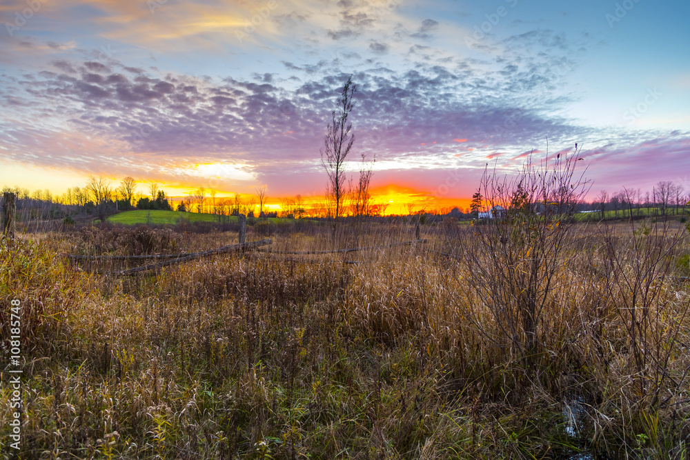 Fototapeta premium colorful rural sunset scene in late autumn