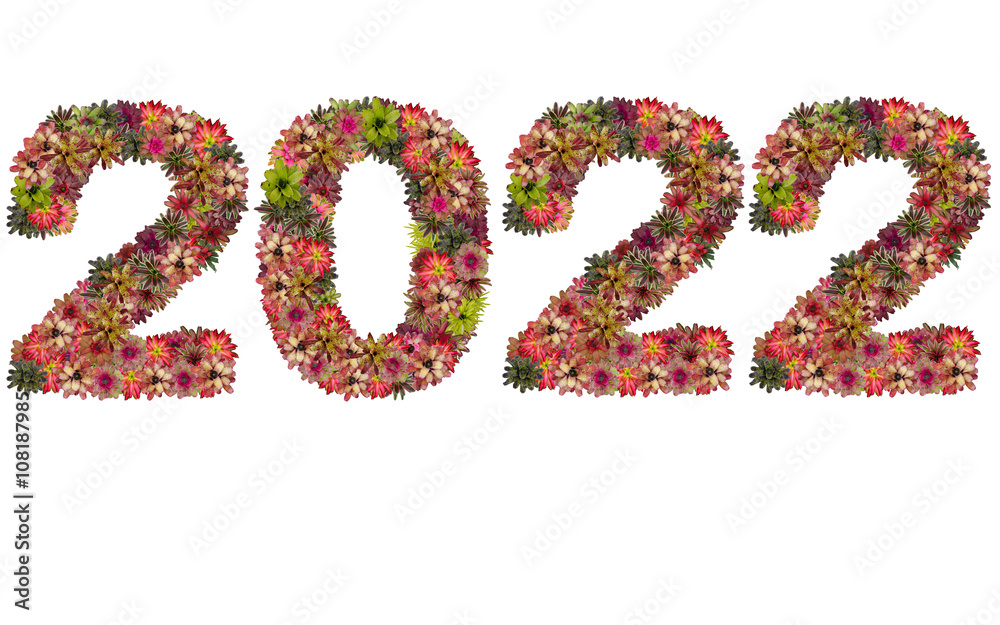 New year 2022 made from bromeliad flowers isolated on white back