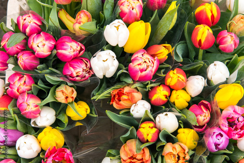 Tulips for sale at a flower markt