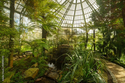 Botanischer Garten Frankfurt botanic garden 