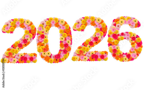 New year 2026 made from gerbera flowers isolated on white backgr