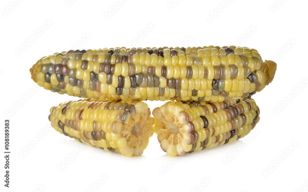 boiled white corn or glutinous corn on white background