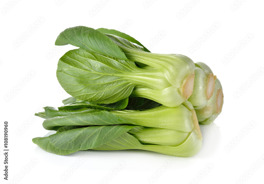 fresh baby Bok choy (Chinese cabbage) on white background fresh baby Bok choy (Chinese cabbage) on white background