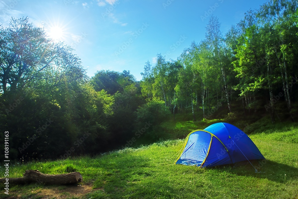 Tourist tent in the green fores, blue sky and sun