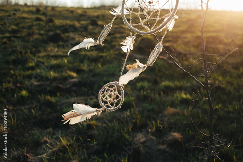 dreamcatcher hanging from a tree in a field at sunsetd