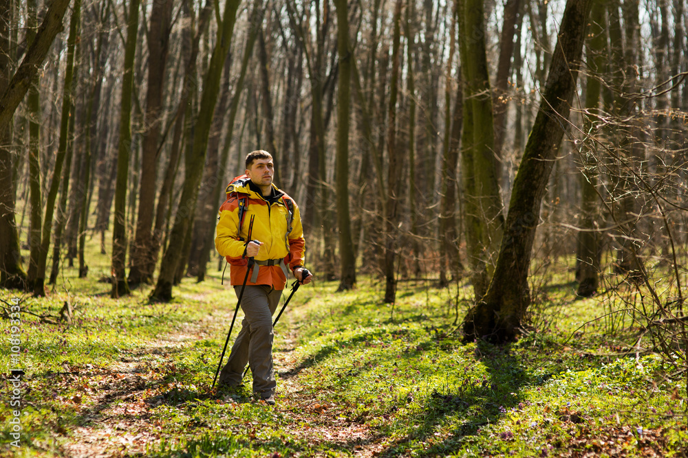 Fototapeta premium Active healthy man hiking in beautiful forest
