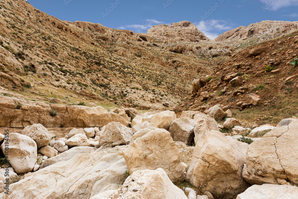 Fototapeta premium Mountains of the canyon Negev Desert in Israel