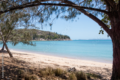 Beach and blue sea framed by trees on tropical Magnetic Island  Australia