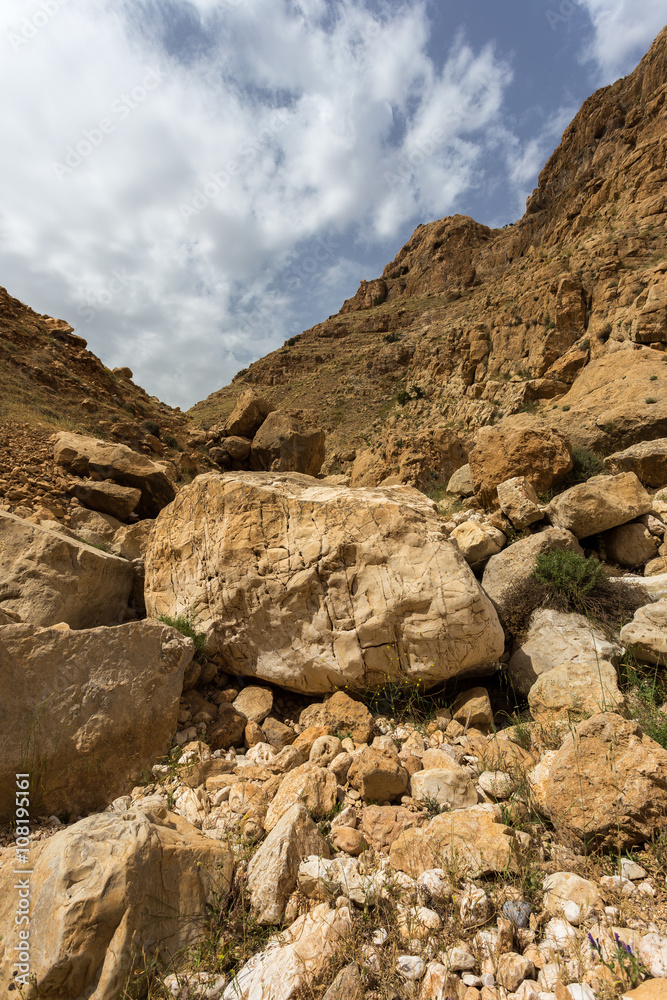 Mountains of the canyon Negev Desert in Israel