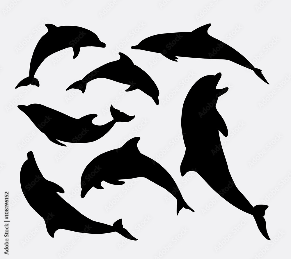 Obraz premium Sylwetka zwierzęcia delfina. Dobre wykorzystanie dla symbolu, logo, maskotki, ikony internetowej, wzoru naklejki, znaku lub dowolnego projektu, który chcesz. Łatwy w użyciu.