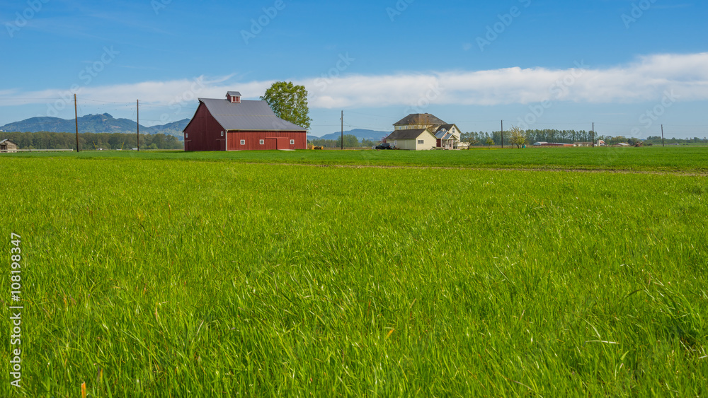 Green field of grass under a blue sky