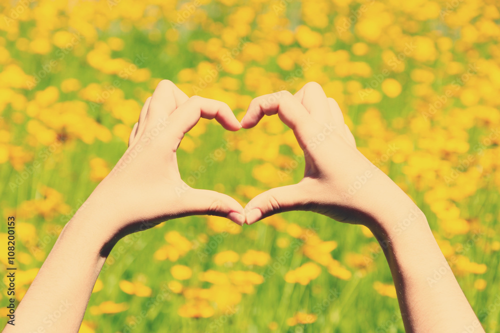 Female hands in heart shape on nature background
