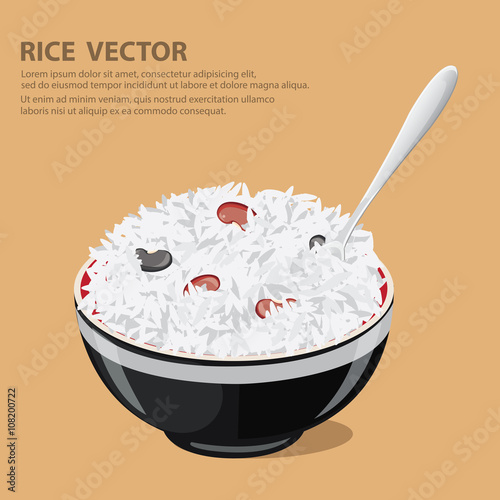rice with spoon.