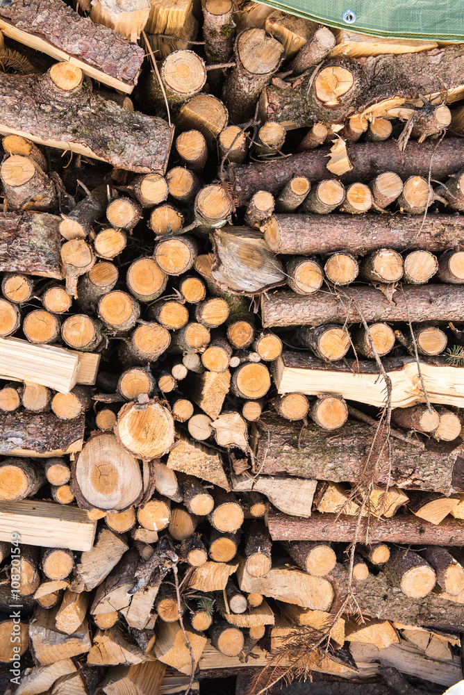 Muster aud verschiedenen Holzstämmen auf einem Stapel Muster aud verschiedenen Holzstämmen auf einem Stapel