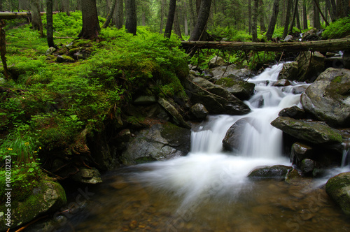 Mountain river in forest.