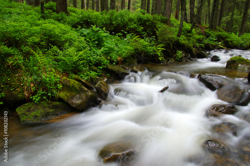 Mountain river in forest.