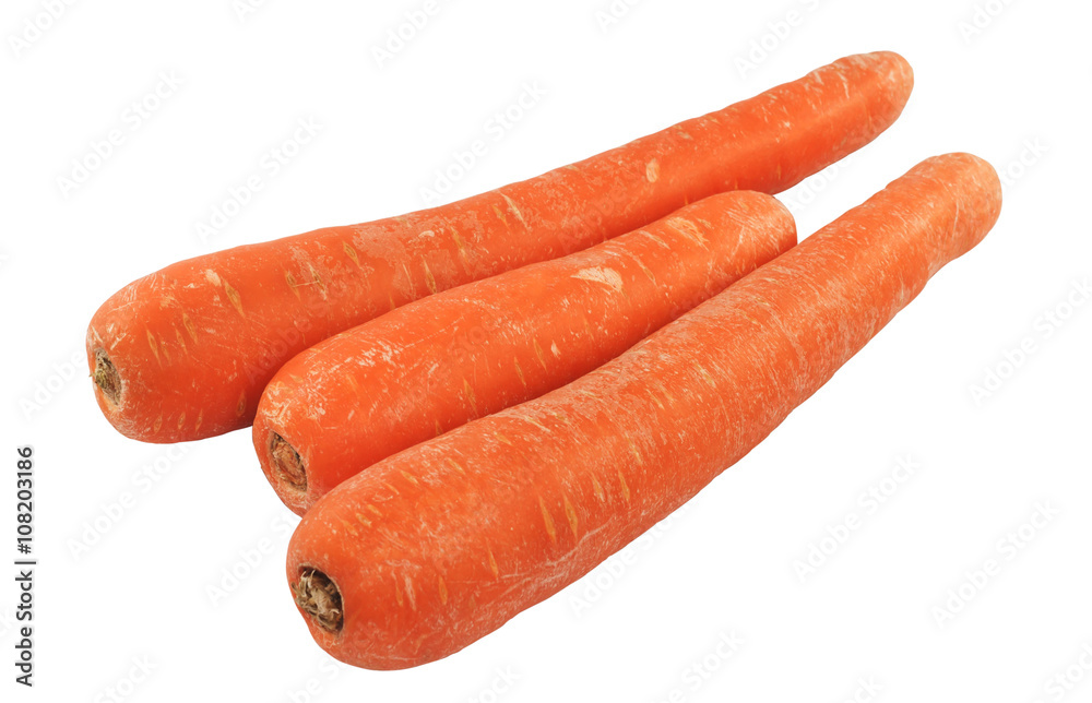 Macro of three orange Carrot vegetable on white background Macro of three orange Carrot vegetable on white background